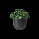 Plant Pot thumbnail 2