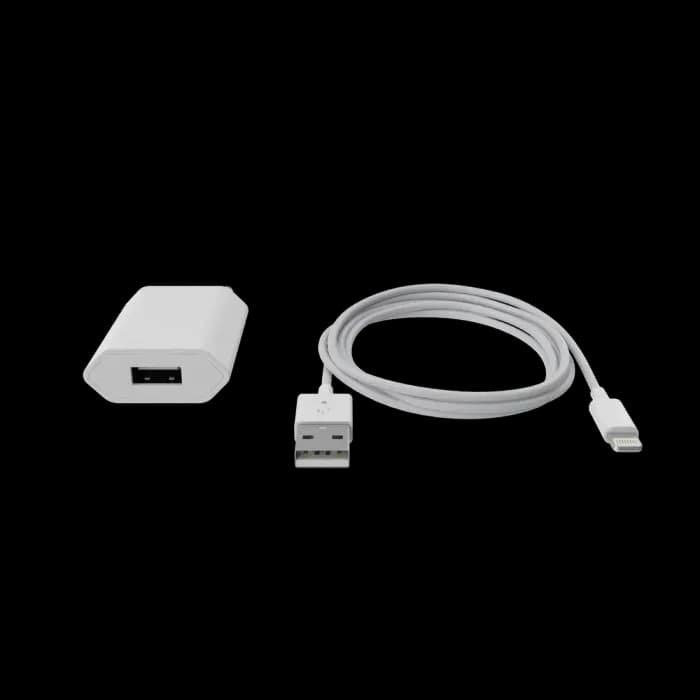 Apple iPhone Charger
